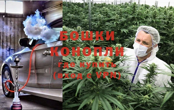 наркотики Белокуриха